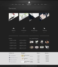 网站建设与数据处理服务 数字化时代的核心驱动力