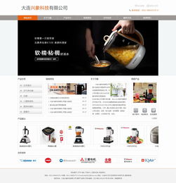 大连新图闻科技 专业网站建设与制作服务解析