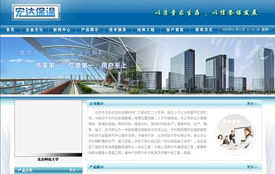 北京网站建设与数据处理服务——龙鼎网络专业解决方案