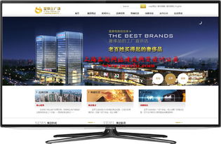 金山网站建设 从制作到设计的全方位指南