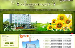 嵊州专业网站建设与淘宝网店装修一站式服务